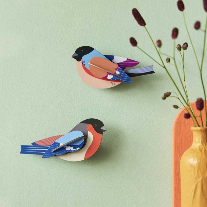 Finches Set 3D Model Kit