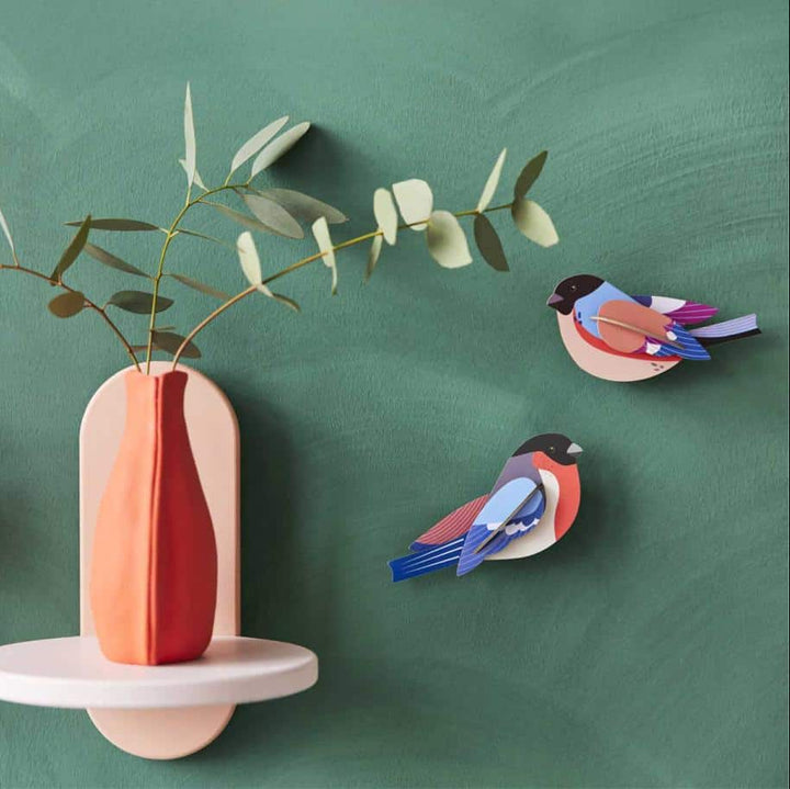 Finches Set 3D Model Kit