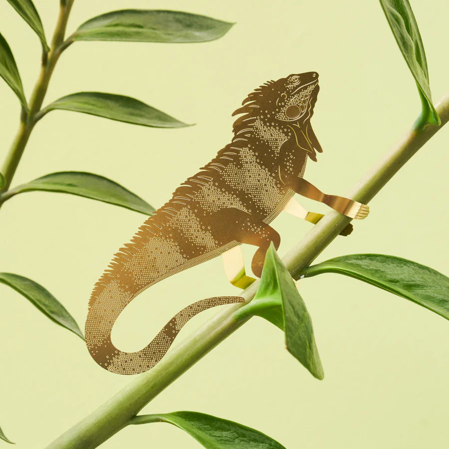 Iguana Plant Animal - Large Edition