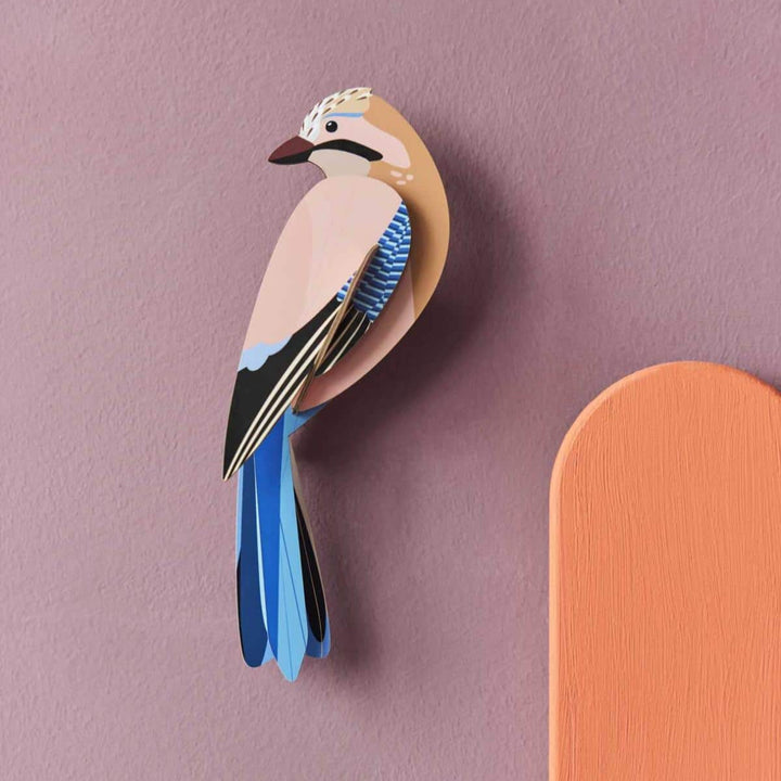 Jay 3D Model Kit