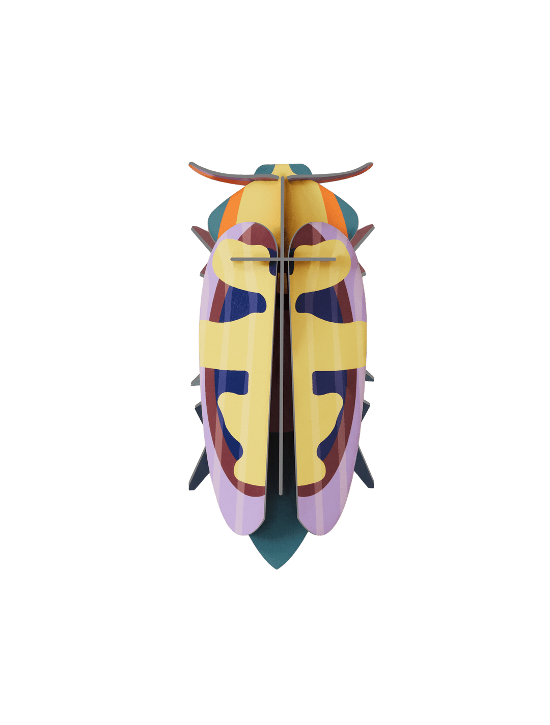 Mango Flower Beetle 3D Model Kit