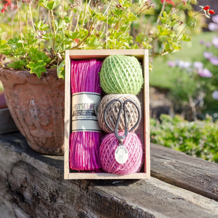 Gardeners Seed Tray Gift Set - Brights