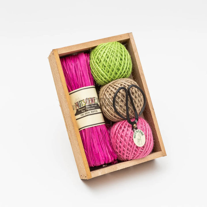 Gardeners Seed Tray Gift Set - Brights