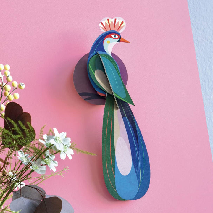 Banda Bird 3D Model Kit