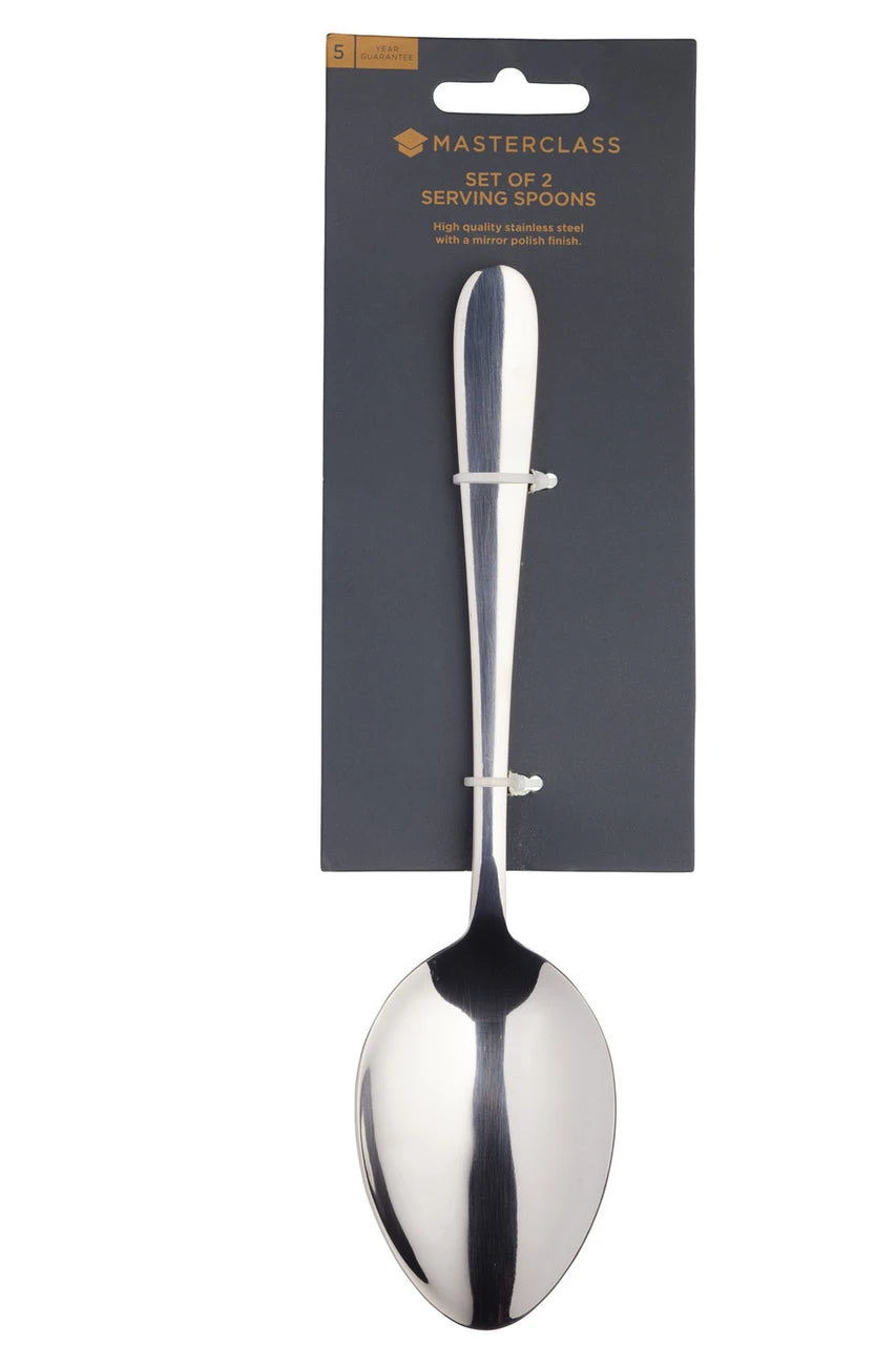 Set of 2 Serving Spoons