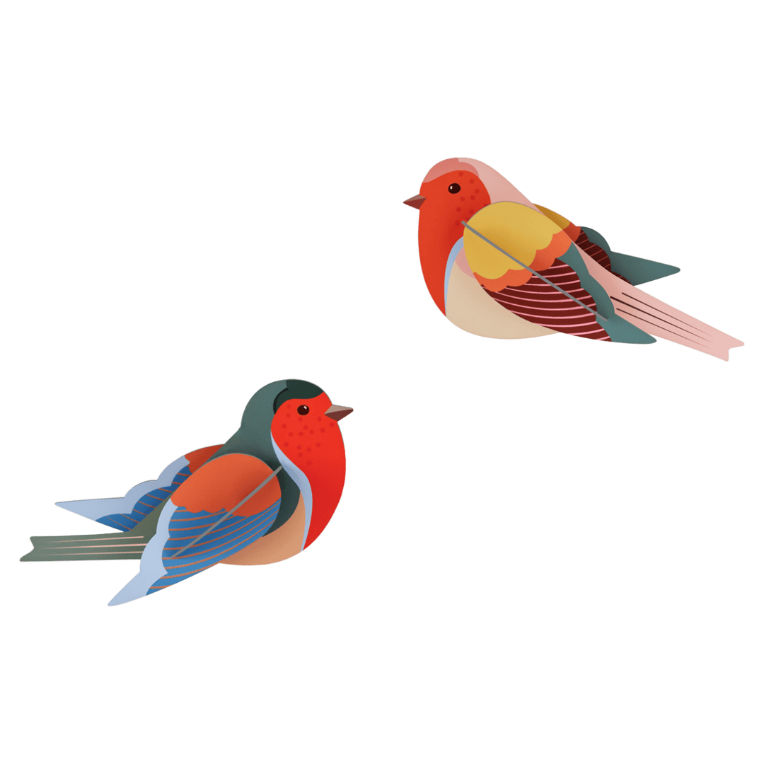 Robins Set 3D Model Kit