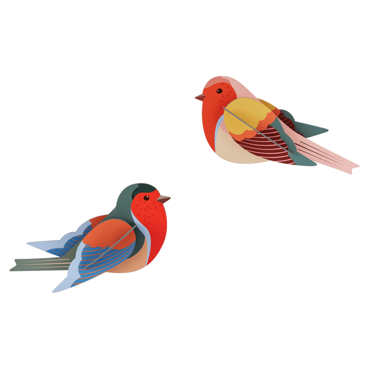 Robins Set 3D Model Kit