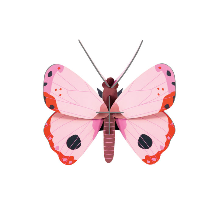 Rosora Butterfly 3D Model Kit