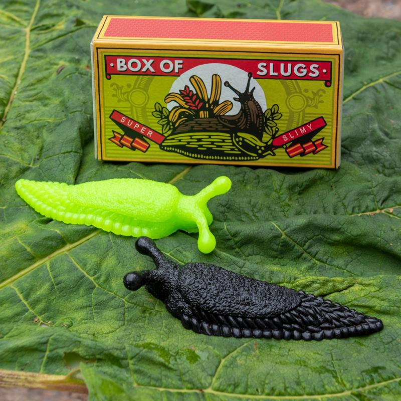 Slimy Slug In A Box