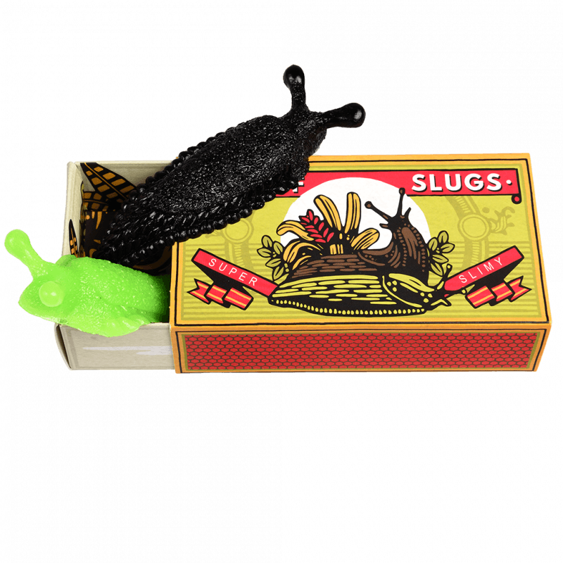 Slimy Slug In A Box