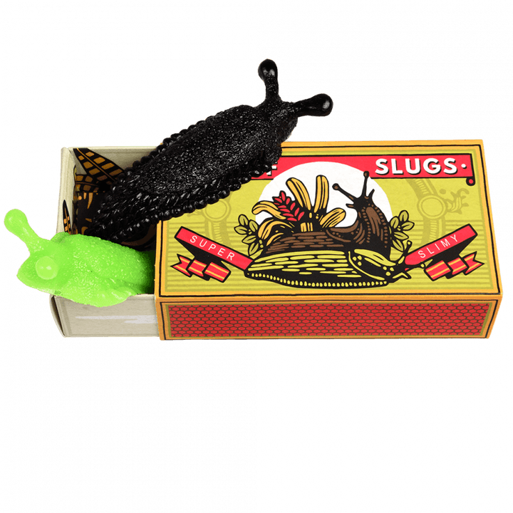 Slimy Slug In A Box