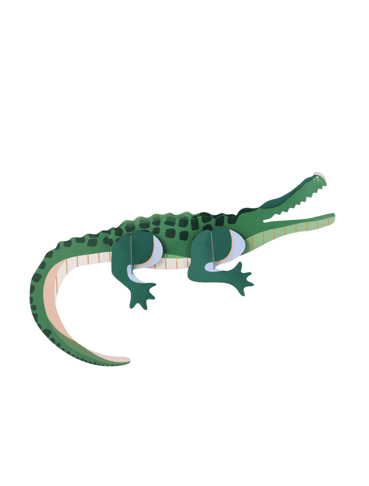Tall Crocodile 3D Model Kit