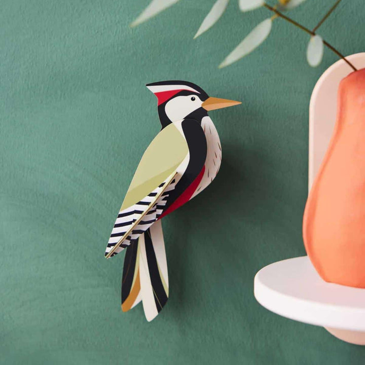 Woodpecker 3D Model Kit