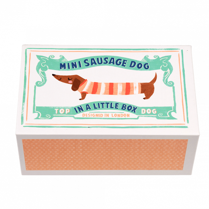 Mini Sausage Dog In A Little Box