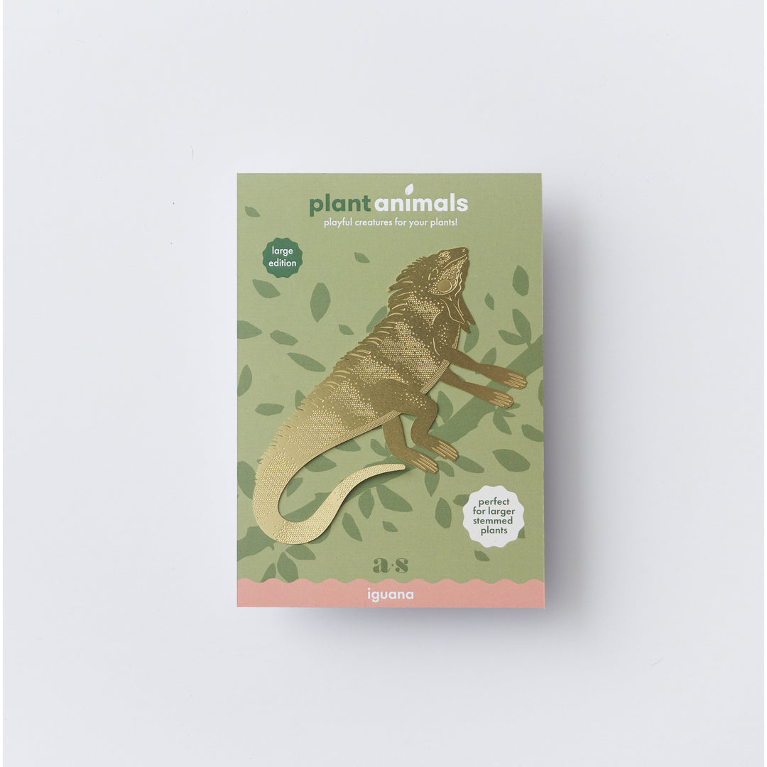 Iguana Plant Animal - Large Edition