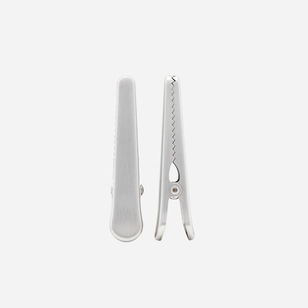 Set of 2 Silver Clips