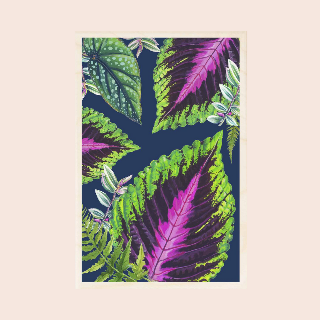 Wooden Postcard: Coleus Leaves on Navy