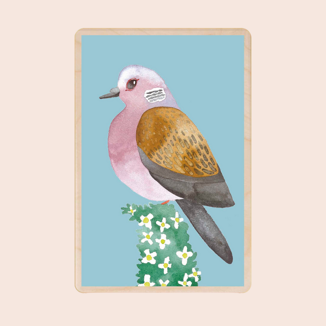 Wooden Postcard: Turtle Dove