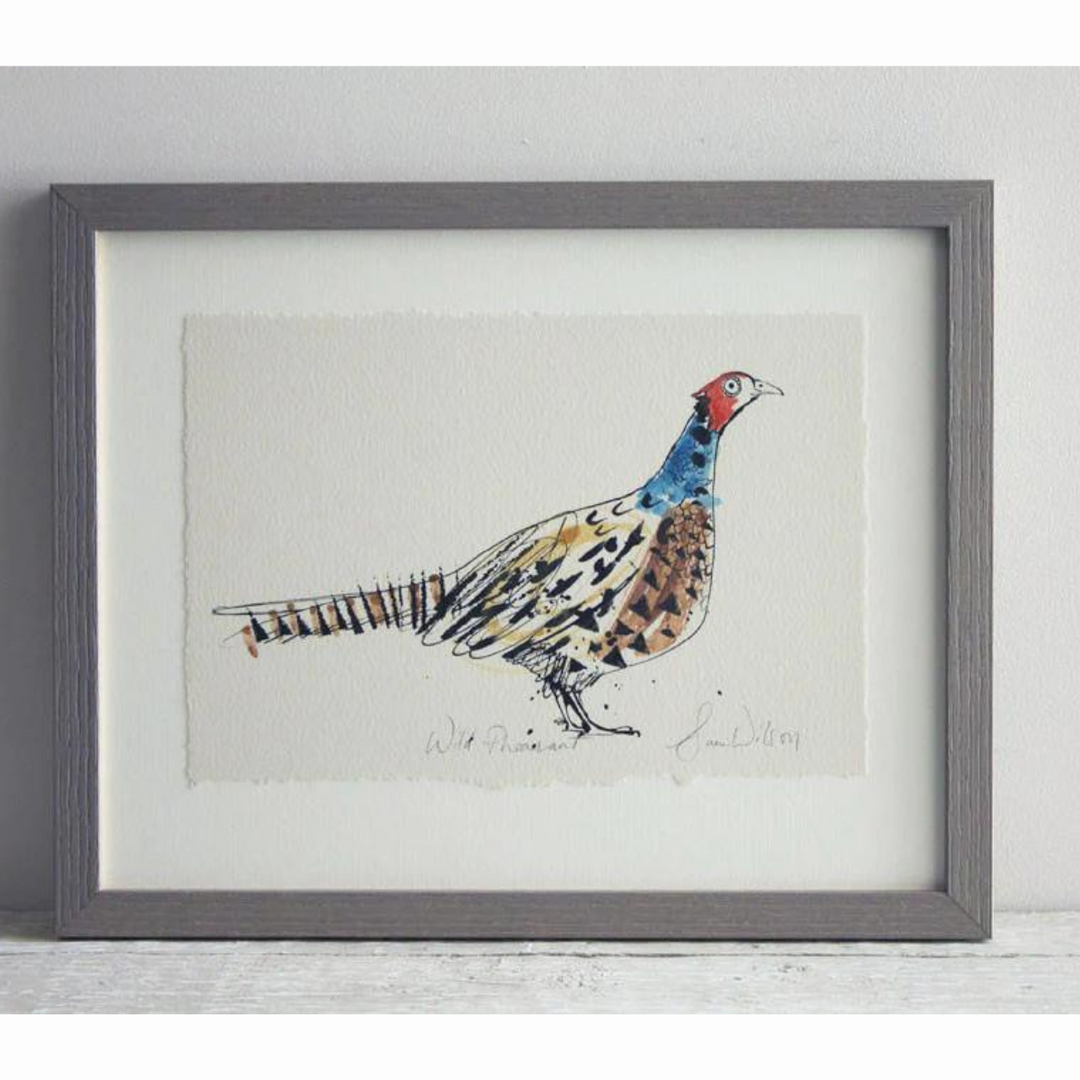 Wild Pheasant Framed Art Print