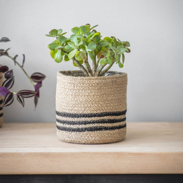 Striped Jute Plant Pot