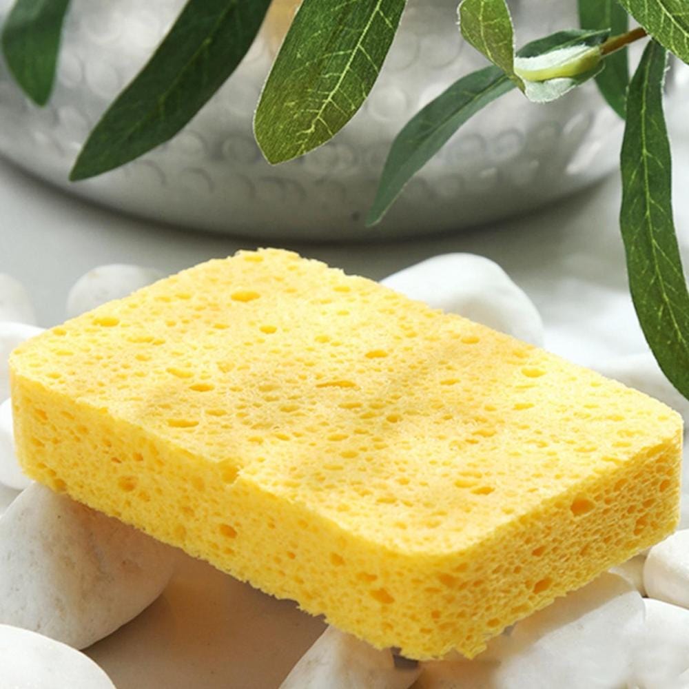 Positive Sponge Compostable Sponge | Vegan, Natural Skincare | Quince & Cook