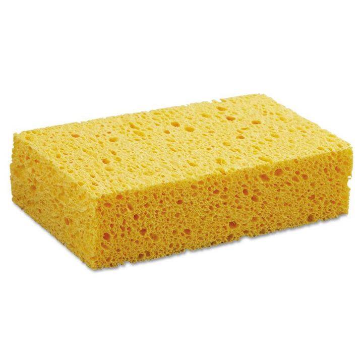 Compostable Sponge